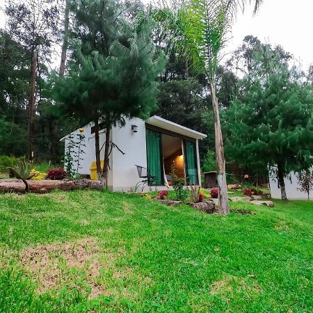Romanticas Cabanas En Bosque Acaxochitlán Esterno foto