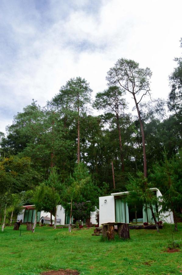 Romanticas Cabanas En Bosque Acaxochitlán Esterno foto