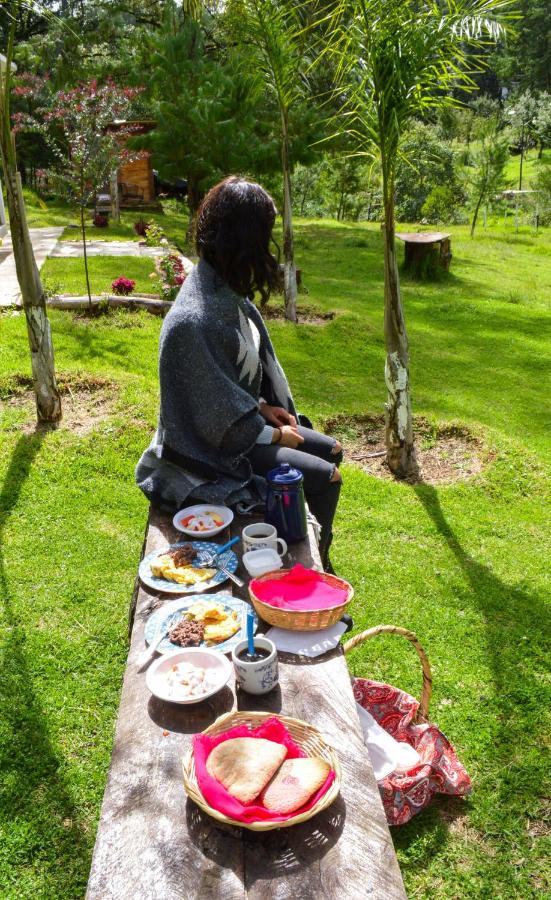 Romanticas Cabanas En Bosque Acaxochitlán Esterno foto