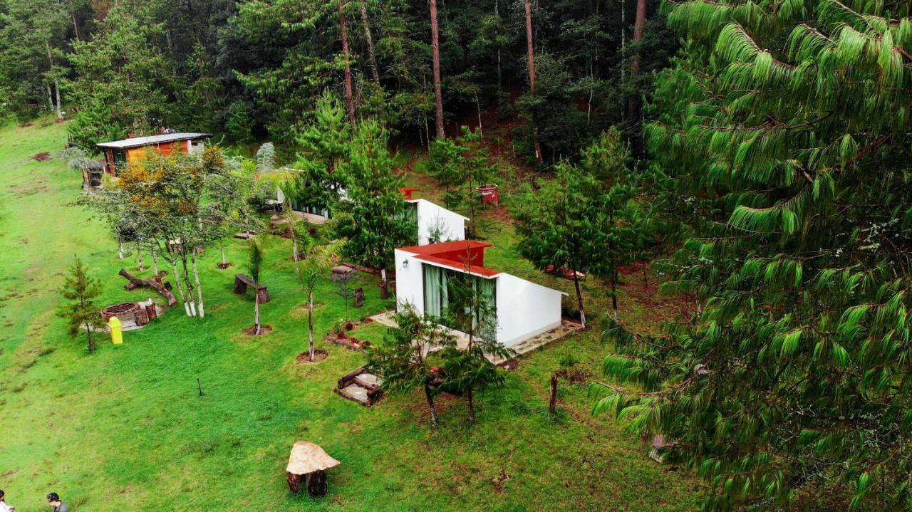 Romanticas Cabanas En Bosque Acaxochitlán Esterno foto